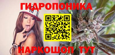 гидра Владимир