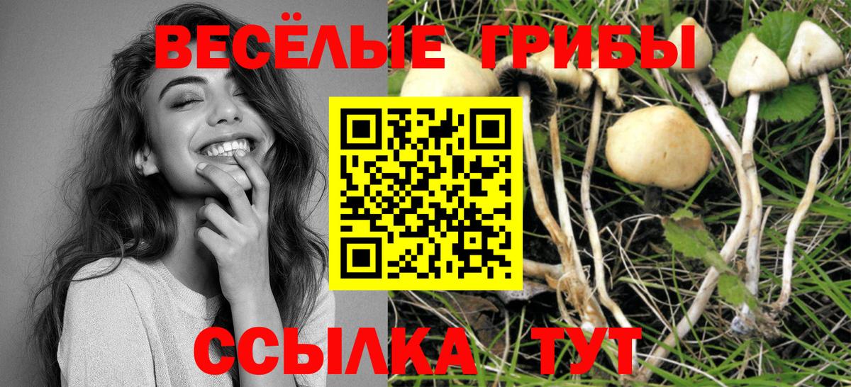 Всеволожск  Галлюциногенные грибы Psilocybe  Галлюциногенные грибы ЛСД  Вход с VPN 