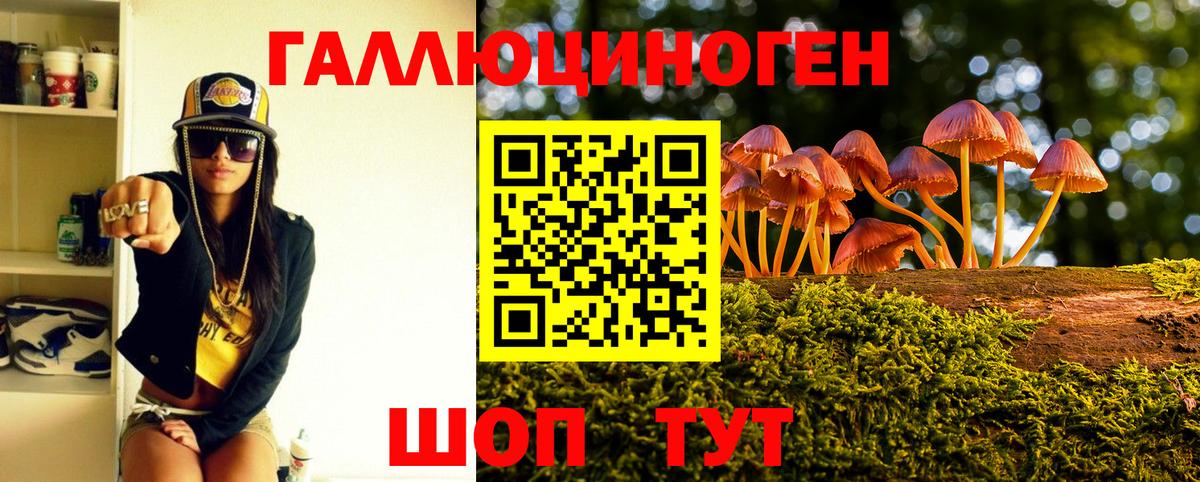 Галлюциногенные грибы GOLDEN TEACHER Всеволожск